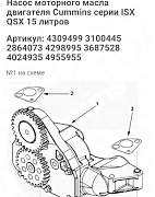 Маслянный насос qsx 15 - Фото #1
