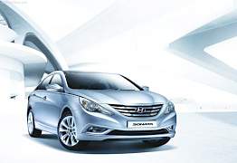 Двери для Sonata 2010-2012 года - Фото #1