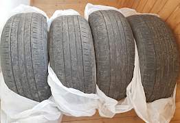 Pirelli (3 летние) - Фото #1