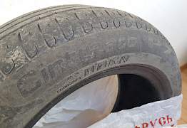 Pirelli (3 летние) - Фото #2