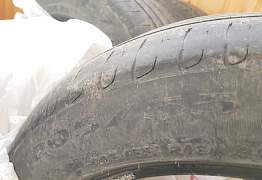 Pirelli (3 летние) - Фото #3