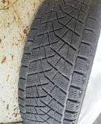 Шины Bridgestone Blizzak DM-Z3 - Фото #1